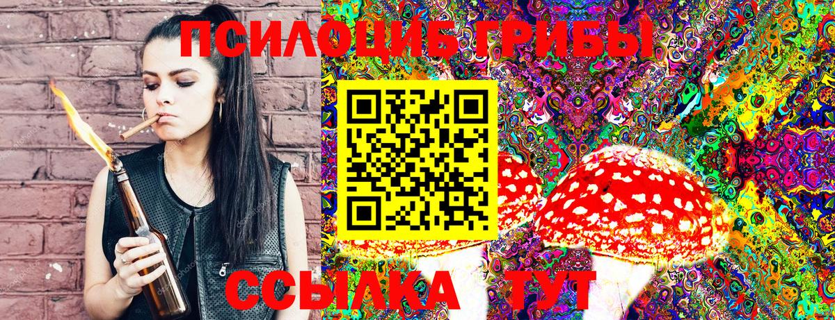 Псилоцибиновые грибы Psilocybine cubensis Чусовой