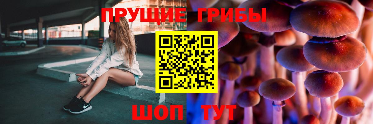 Чусовой  Псилоцибиновые грибы Cubensis  Вход с VPN  Псилоцибиновые грибы MAGIC MUSHROOMS 